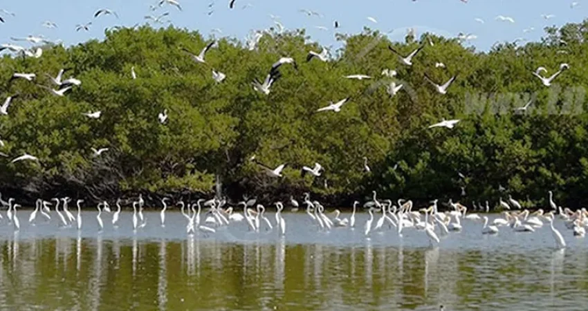 BirdWatchingTour02- Nica Travel and Tours